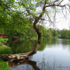 Zwierzyniec